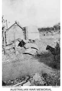 web--Torquay-Davidson-FS