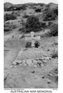 web--Torquay-Storrer-CM